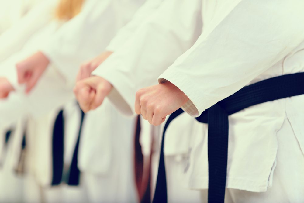 Read more about the article Karate Isn’t Your Child’s Only Option! Learn the Different Types of Martial Arts at ATTFTL