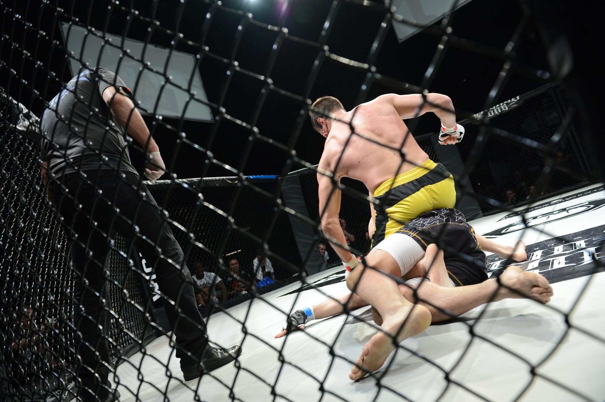 MMA Experience at American Top Team Fort Lauderdale