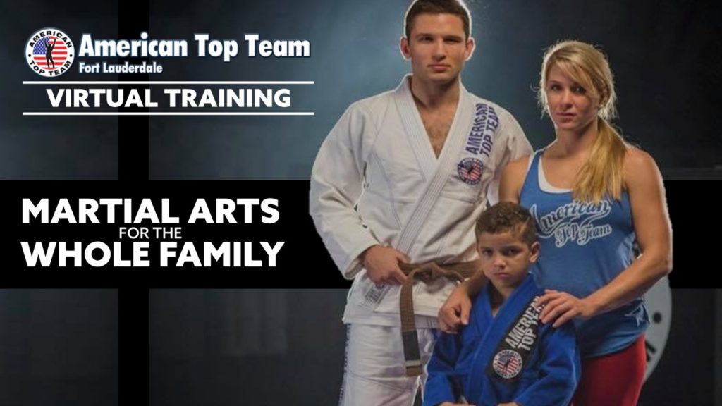 Virtual Martial Arts Training for The Whole Family