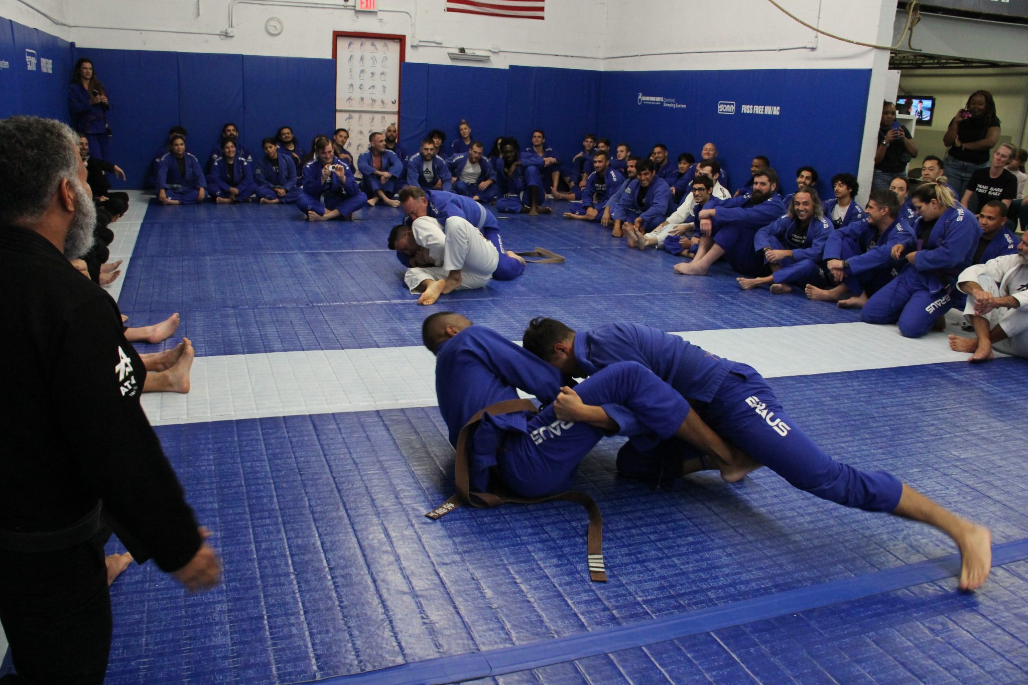 Read more about the article Why You Should Consider Brazilian Jiu Jitsu as an Adult