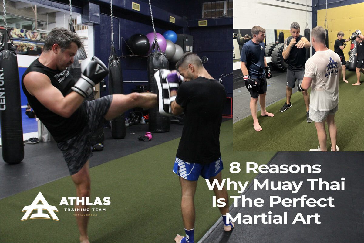 You are currently viewing 8 Reasons Why Muay Thai Is The Perfect Martial Art