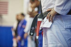 Brazilian jiu-jitsu for beginners